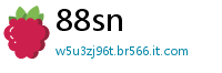 88sn